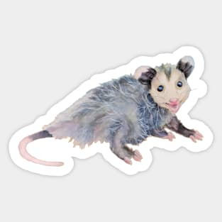 Awesome Opossum Mixed Media Illustration Sticker